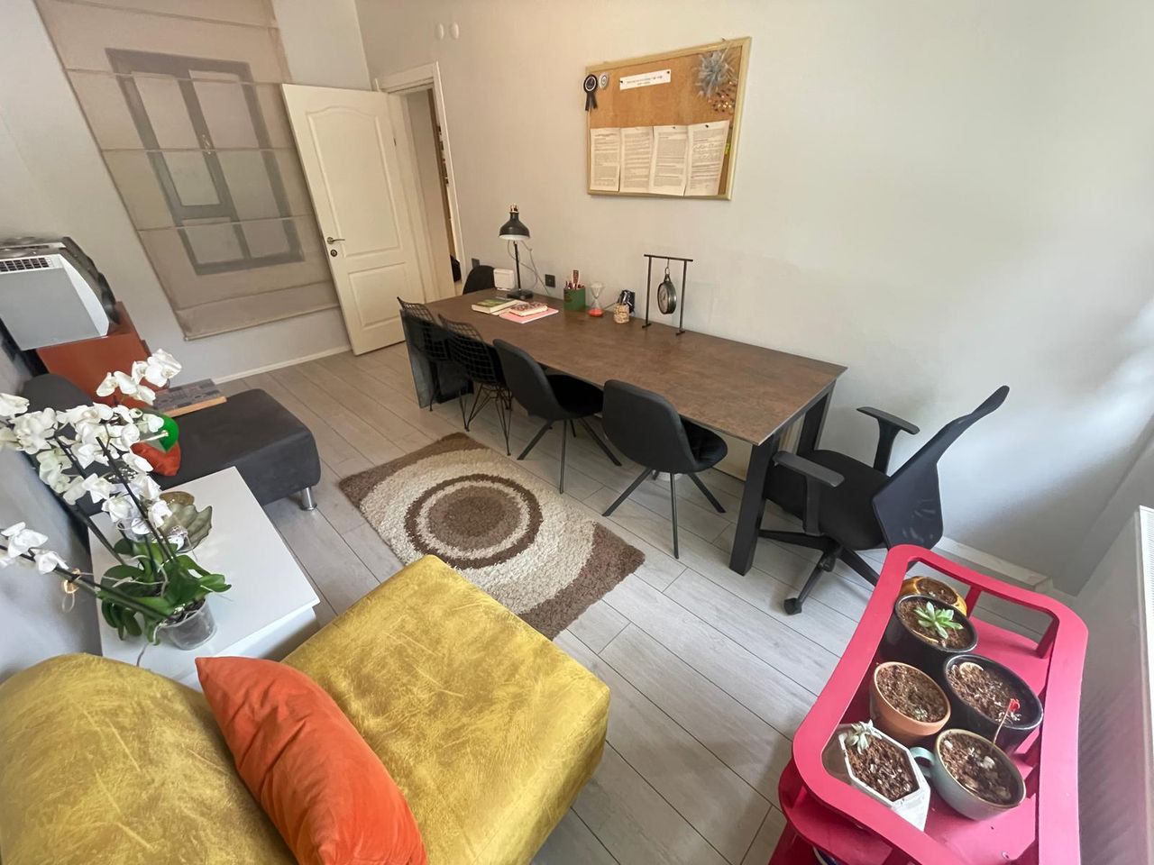 Hülya Şahin Baltacı-5