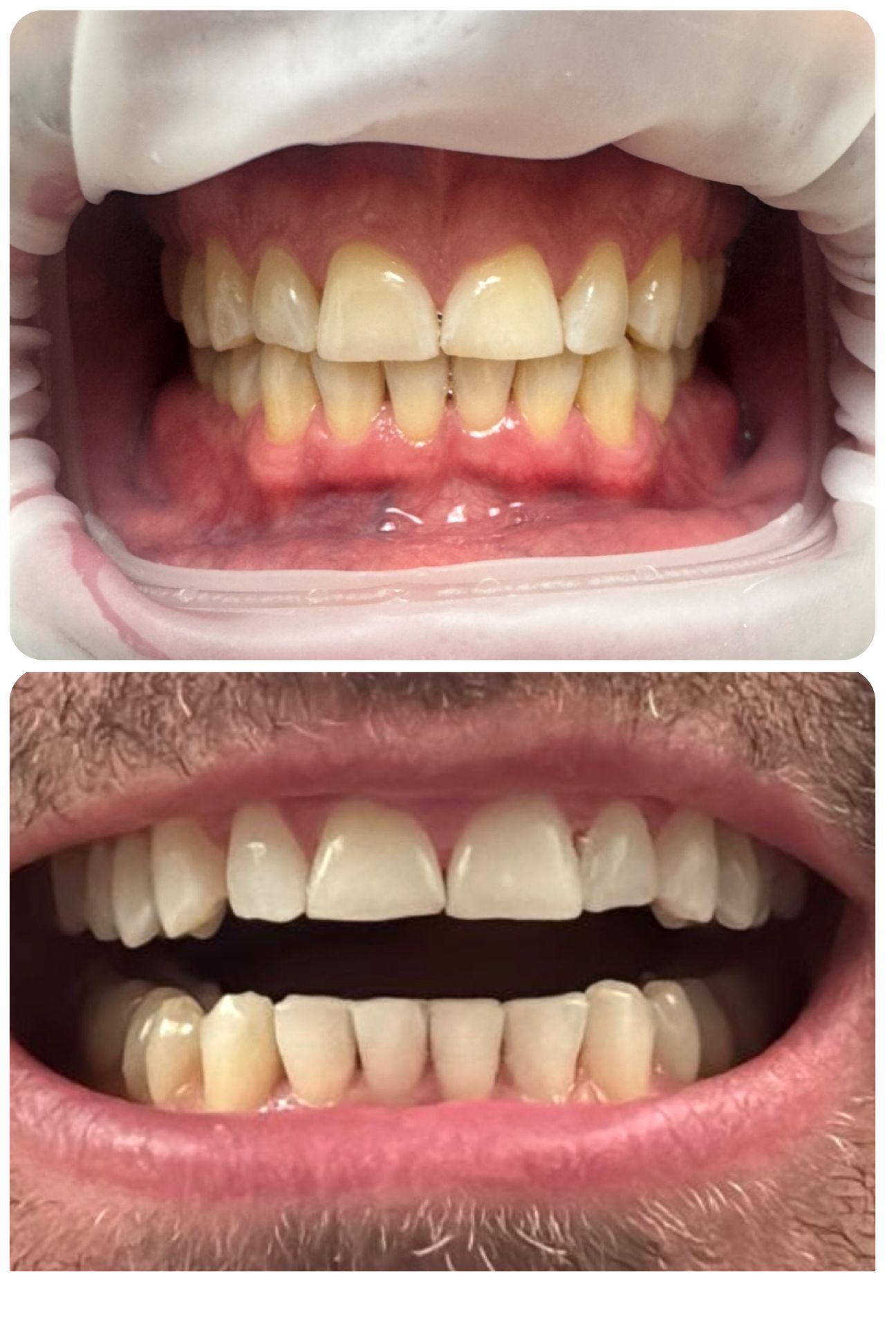 Maria Grazia Diaferia-55