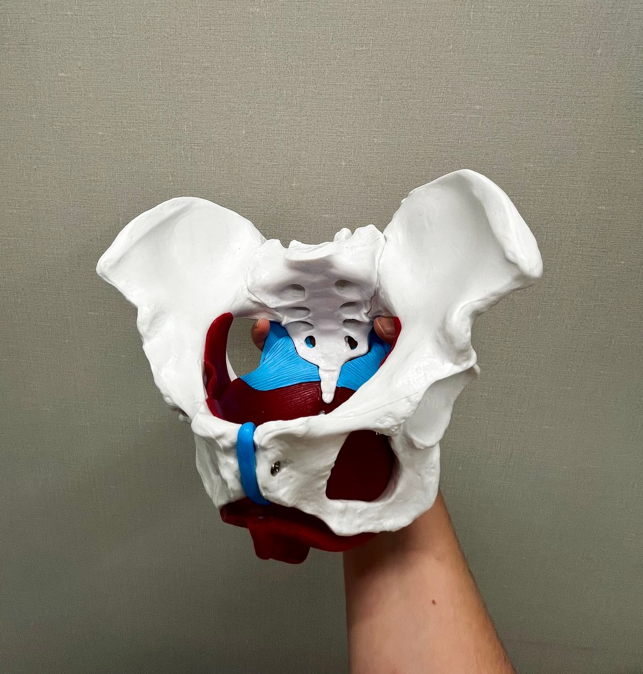 Paulina Zalarska - Szczałuba-5