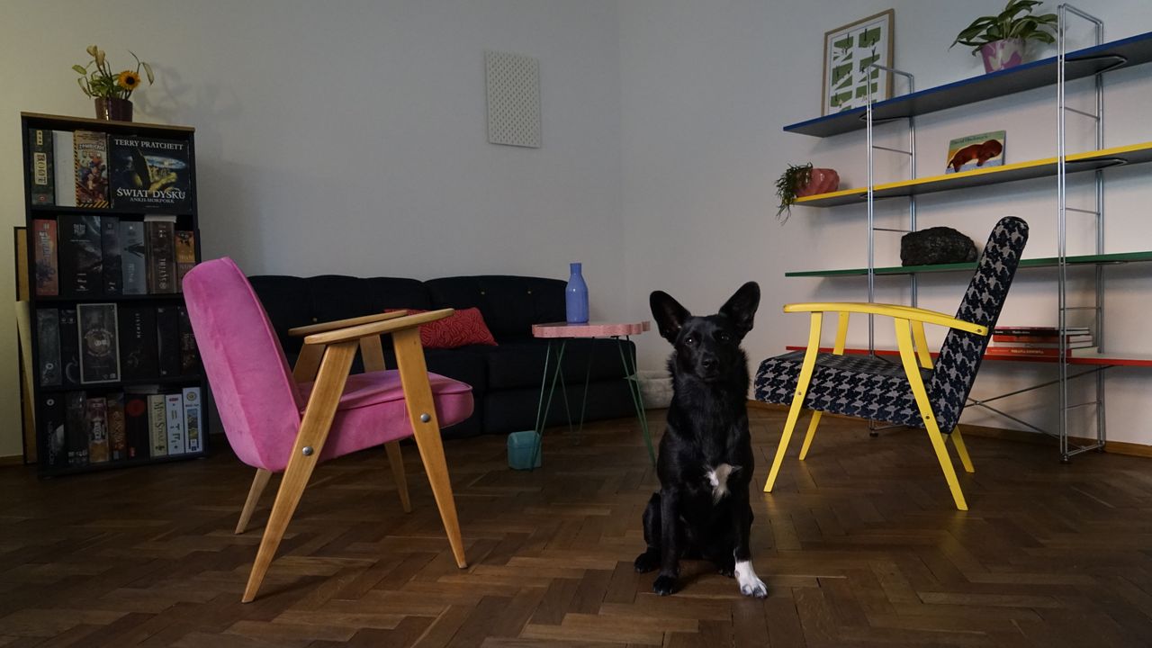 Jędrzej Derouiche-0