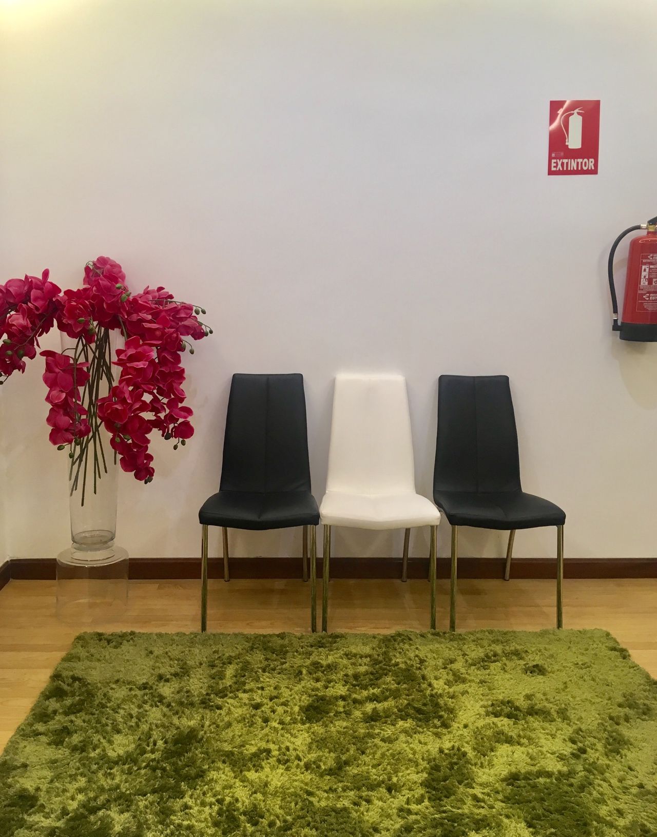 María José Sánchez Ayuso-2