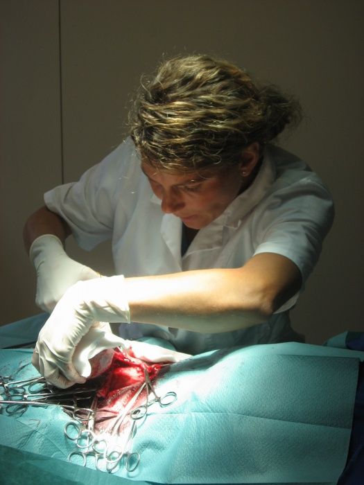 Tina Hölscher-0