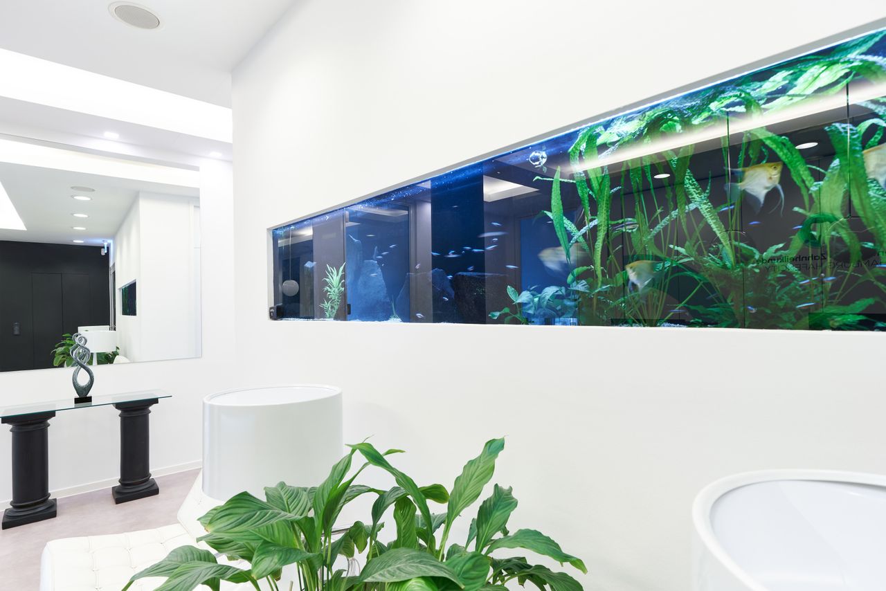 Anita Heilemann (Ehemals Mou)-1