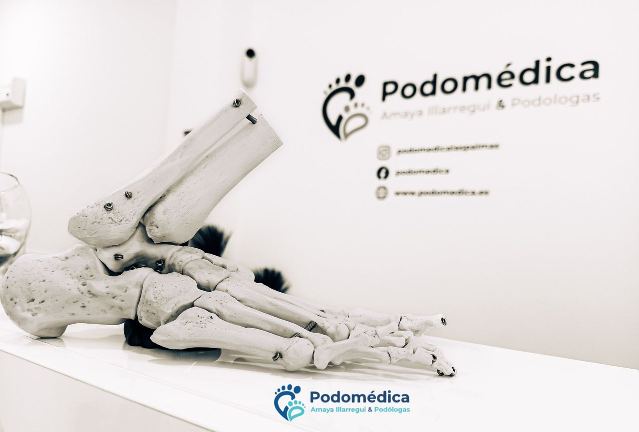 Amaya Illarregui García-1