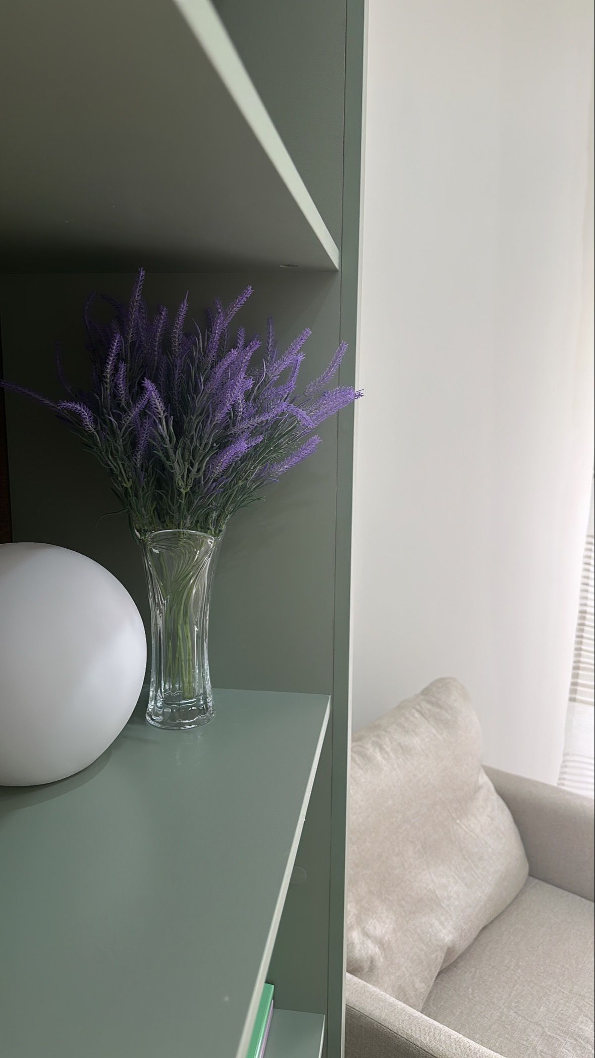 Jacqualine Rindone-1