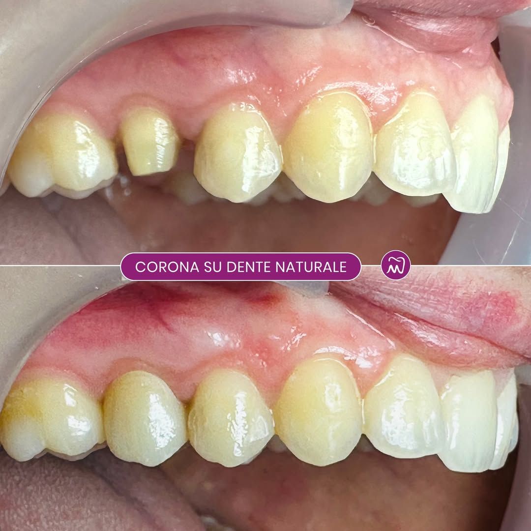 Maria Patrizia Di Caprio-8