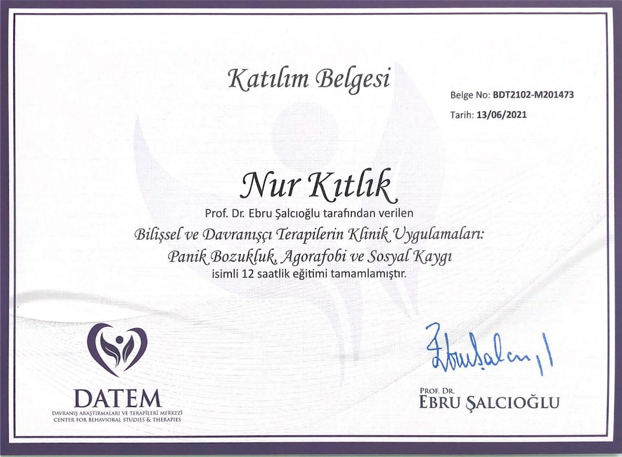 Nur Boyalı-1
