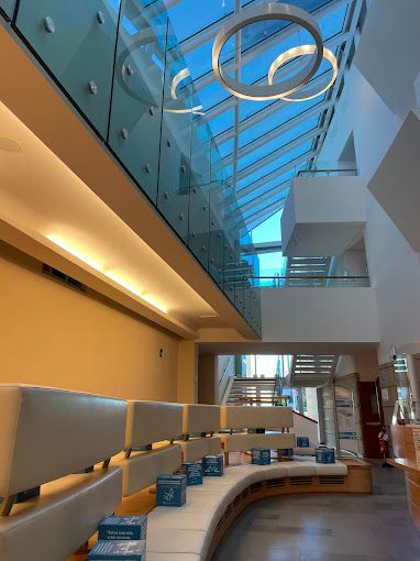 Francesco Di Costanzo-7