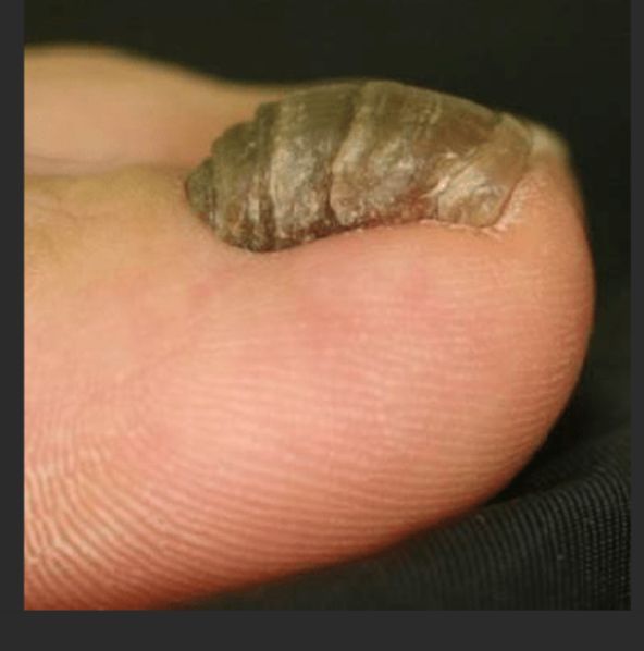 Francesca Montaquila-13