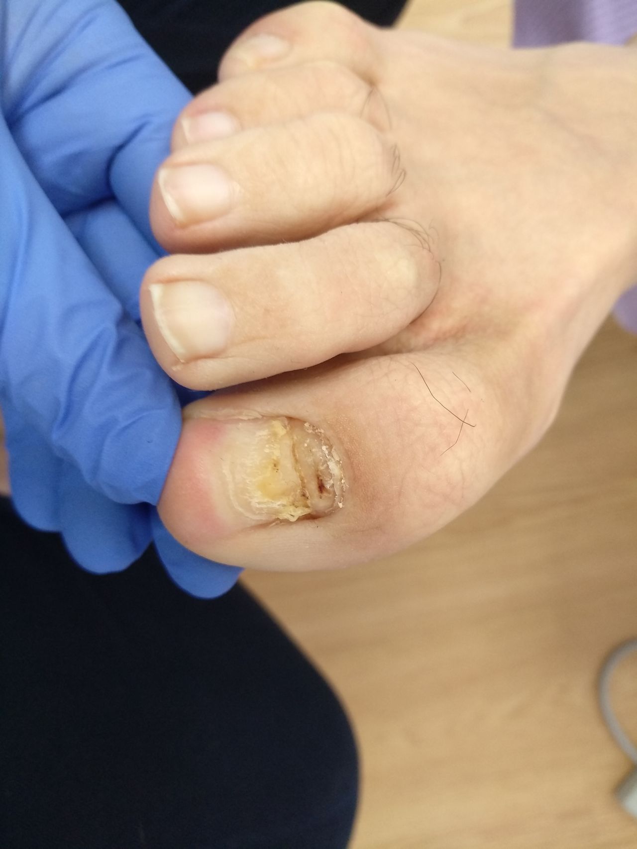 Salomé Antón Arnal-16