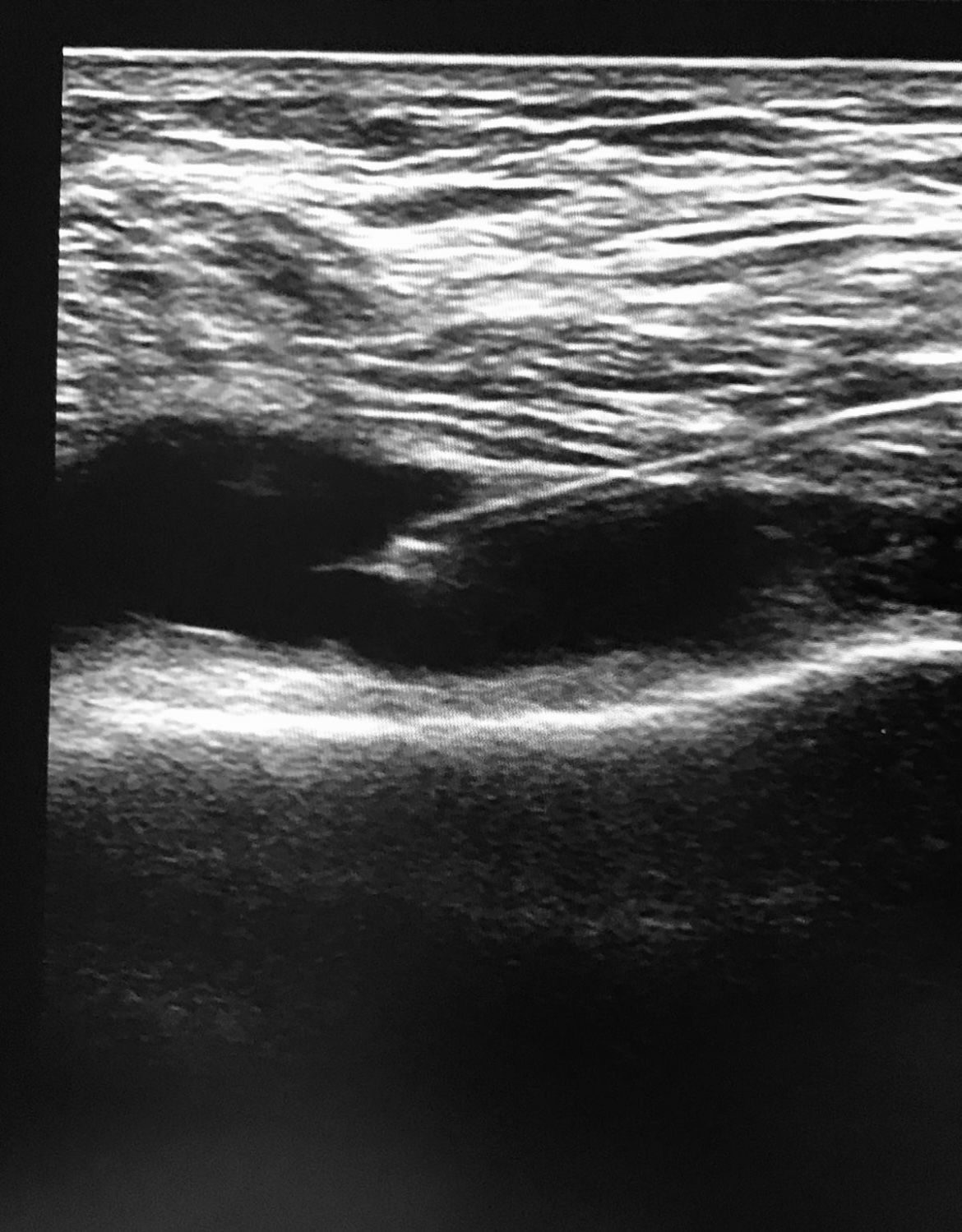 Massimiliano Pinelli-3