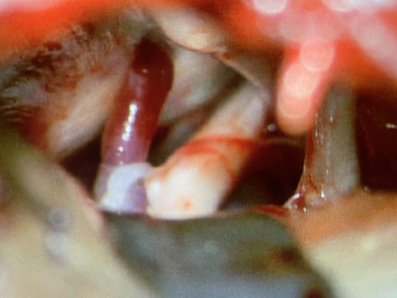 Jarosław Andrychowski-58