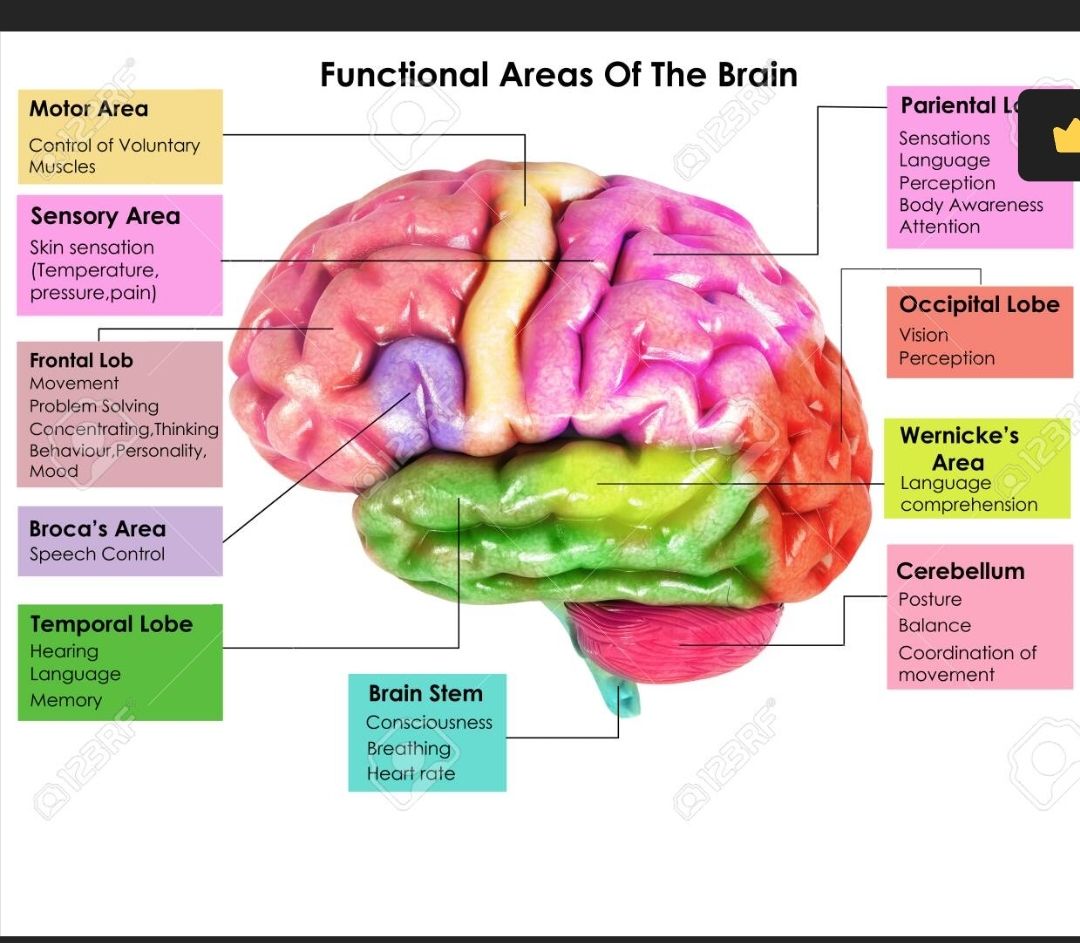 Carmen Reyes Martínez-1