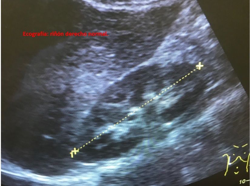 Gonzalo Cabrera Roca-16