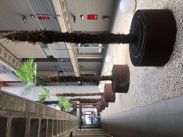 Claudia Otaño Riera-1