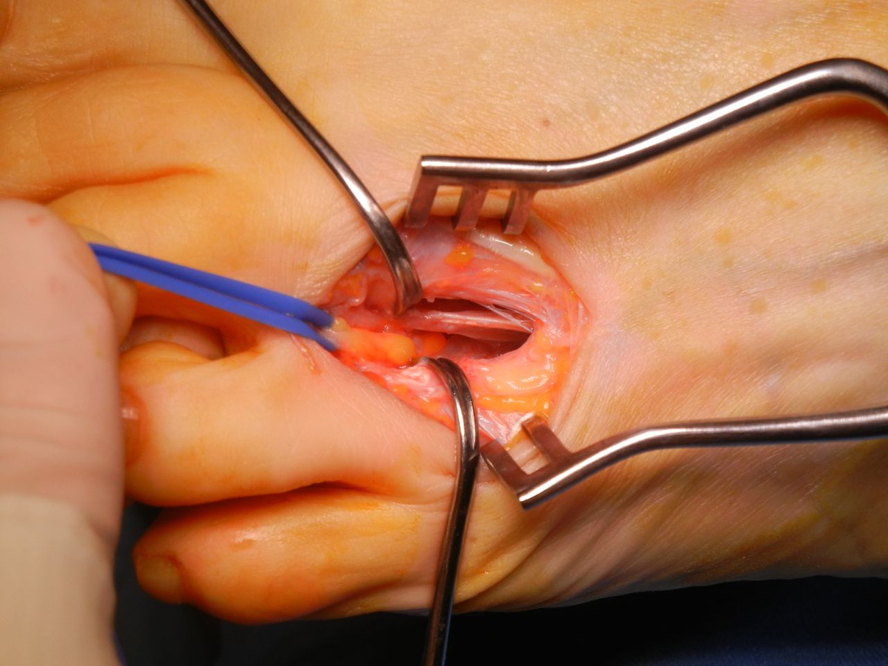 Alessandro Macchiavello-2