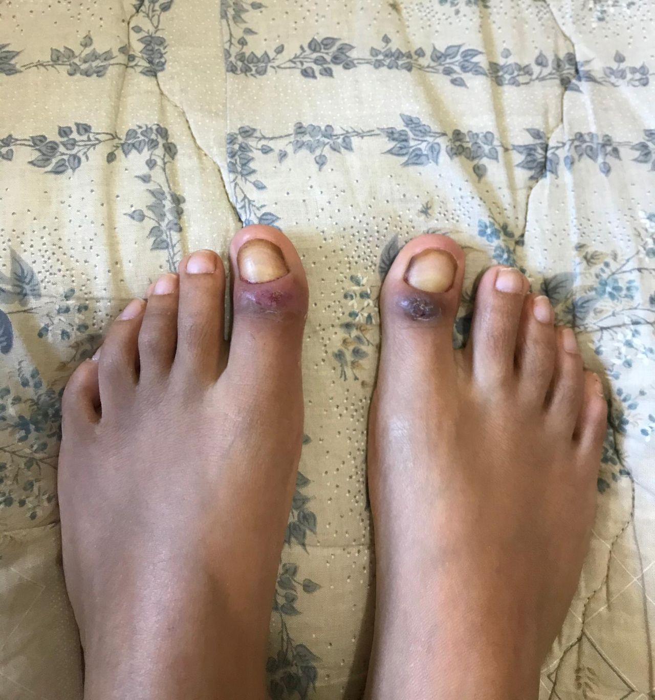 Kassandra Nicolosi-69