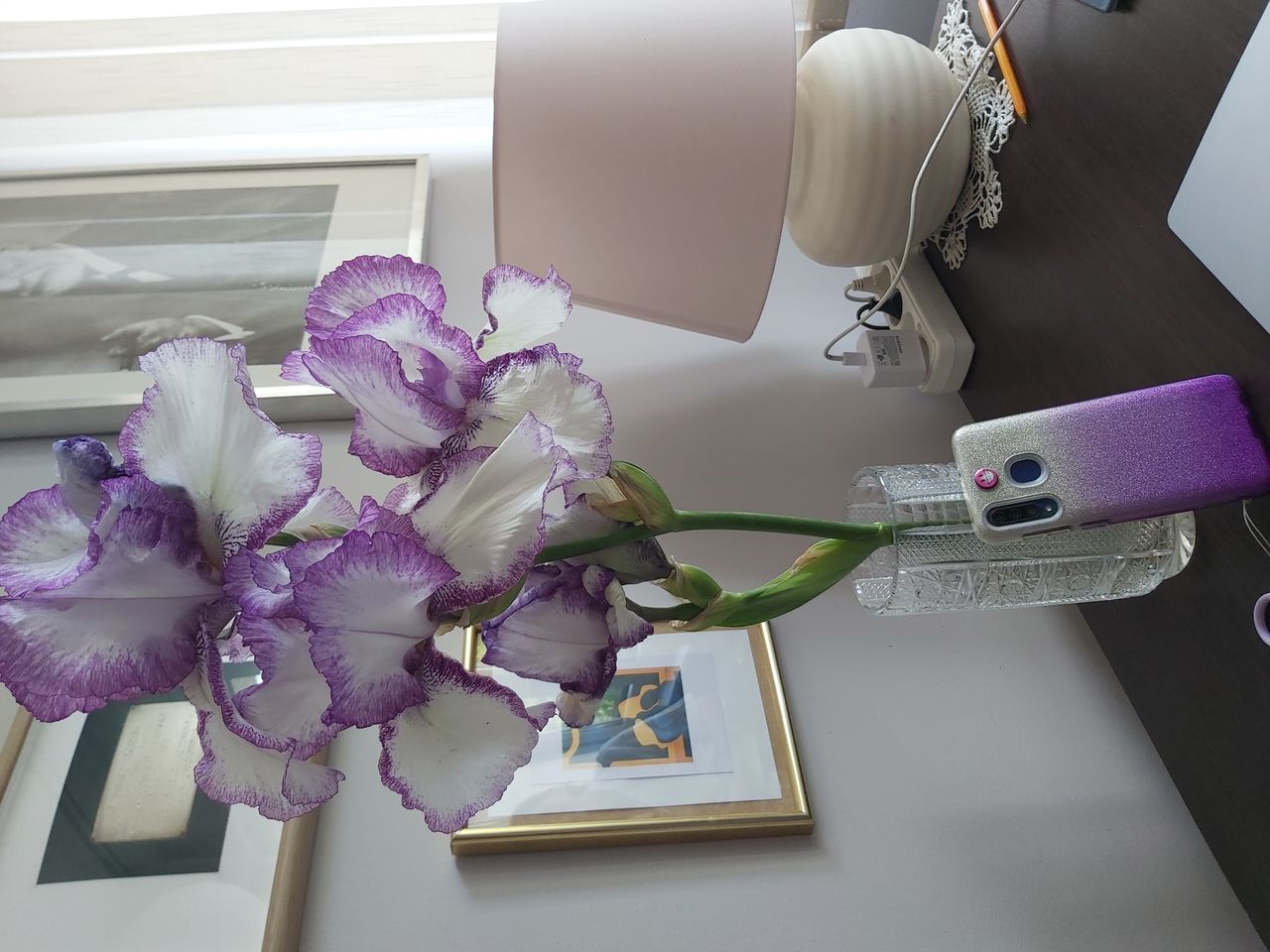 Barbara Gojżewska-3