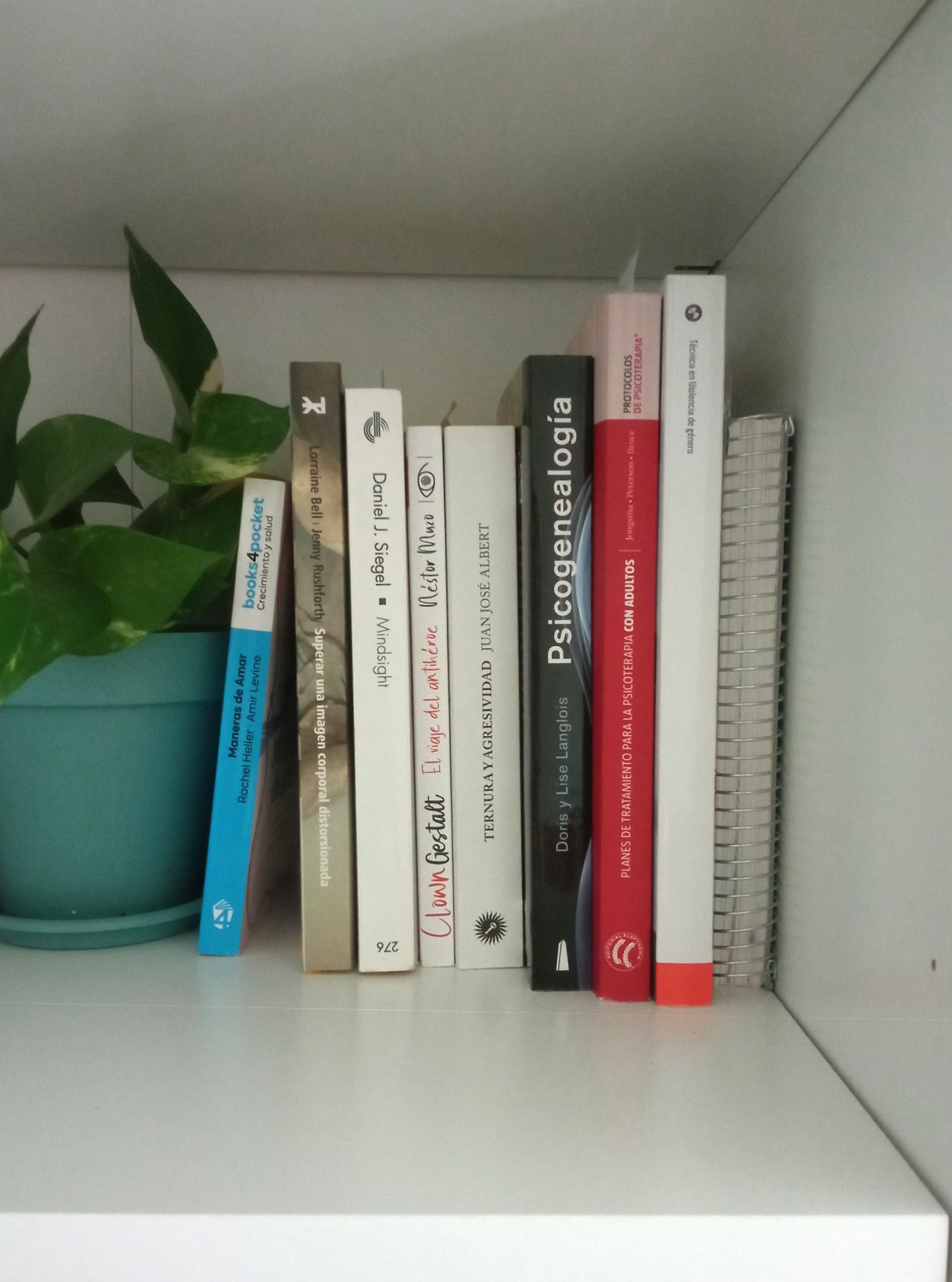 Cristina Cisneros Domínguez-3