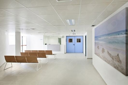 Pedro Obrador Prohens-1