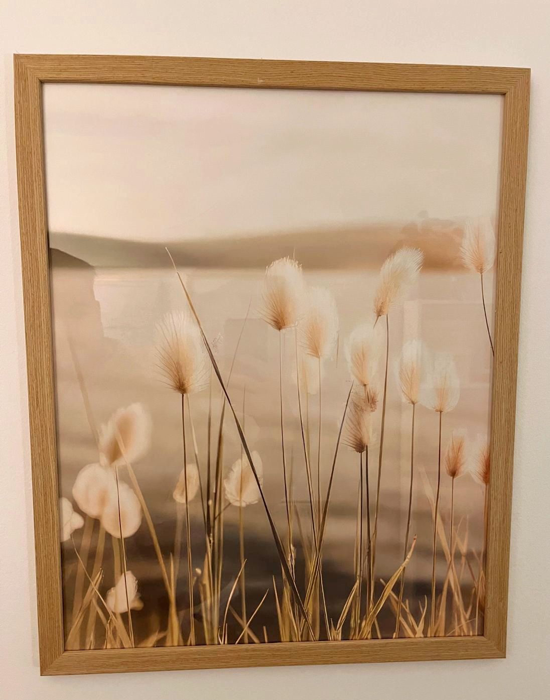 Paula Serrano Díez-4