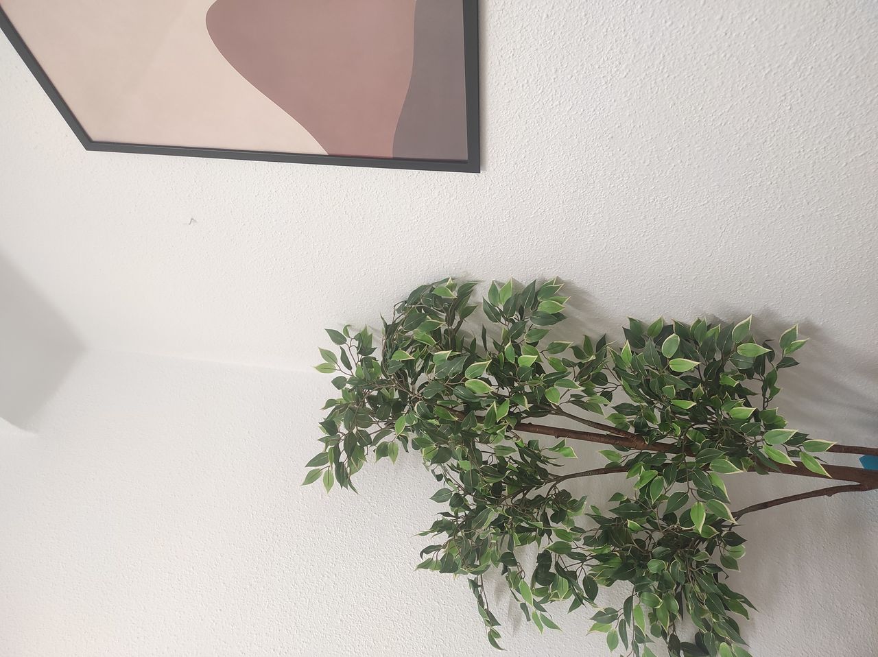 Nerea Rosa Villegas-0