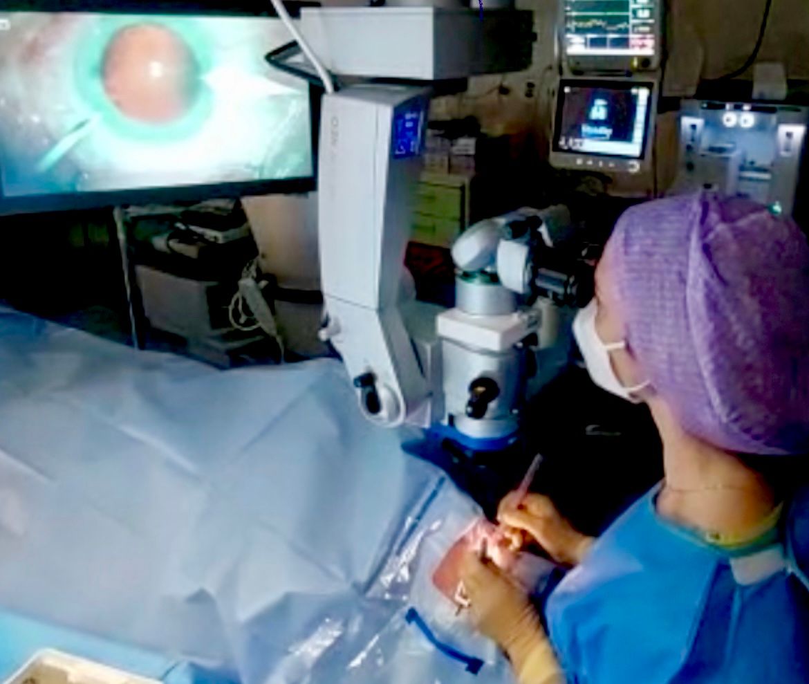 Maria Concetta Ferraro-1