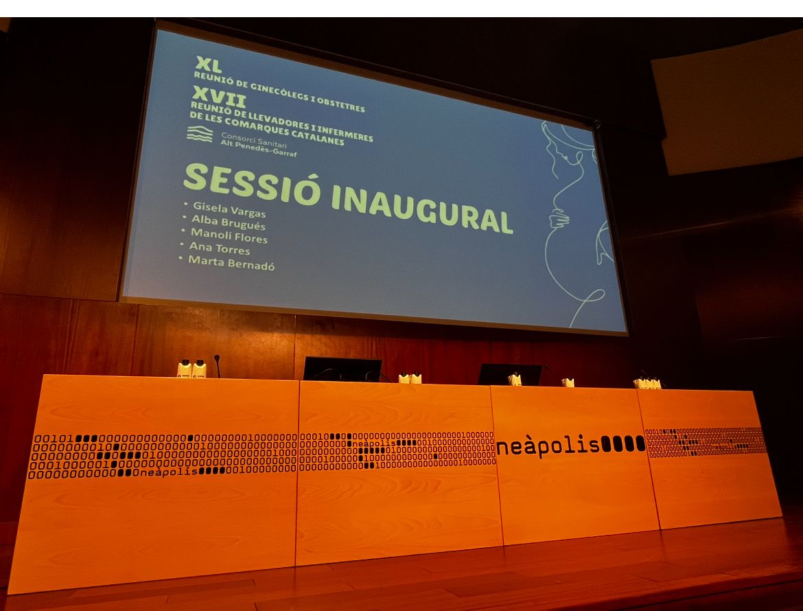 Ana J. Torres Soto-1