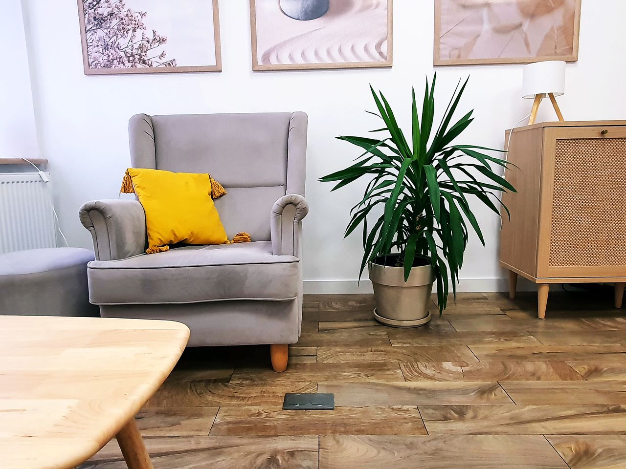 Aleksandra Pieślak-18