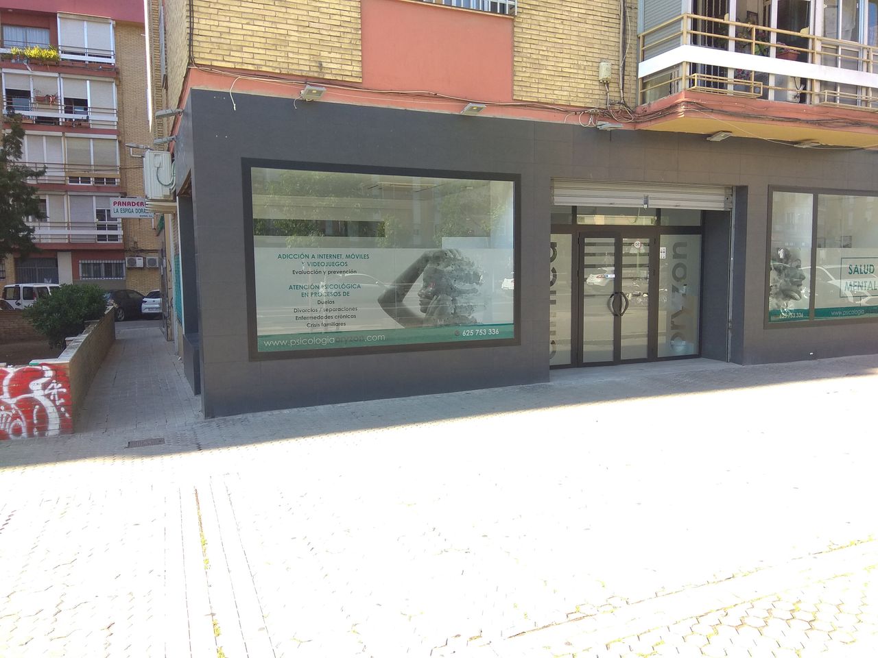 Inmaculada Vallejo Arias-0