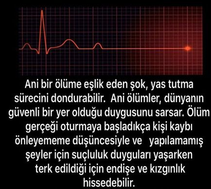 Günseli Yavaş Alpay-17