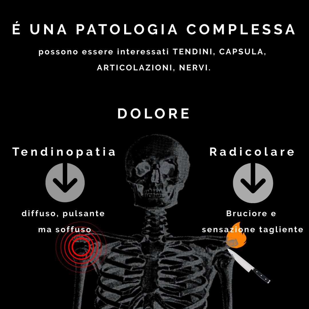 Tommaso Albertini-16