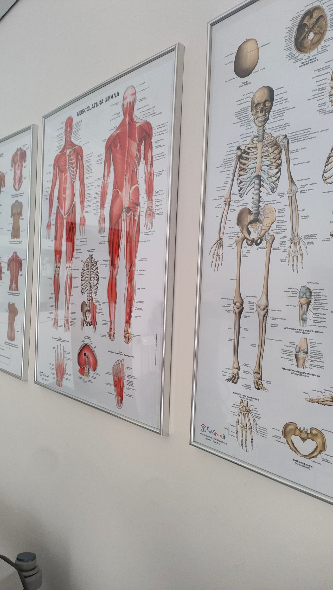 Claudia Canfarelli-3