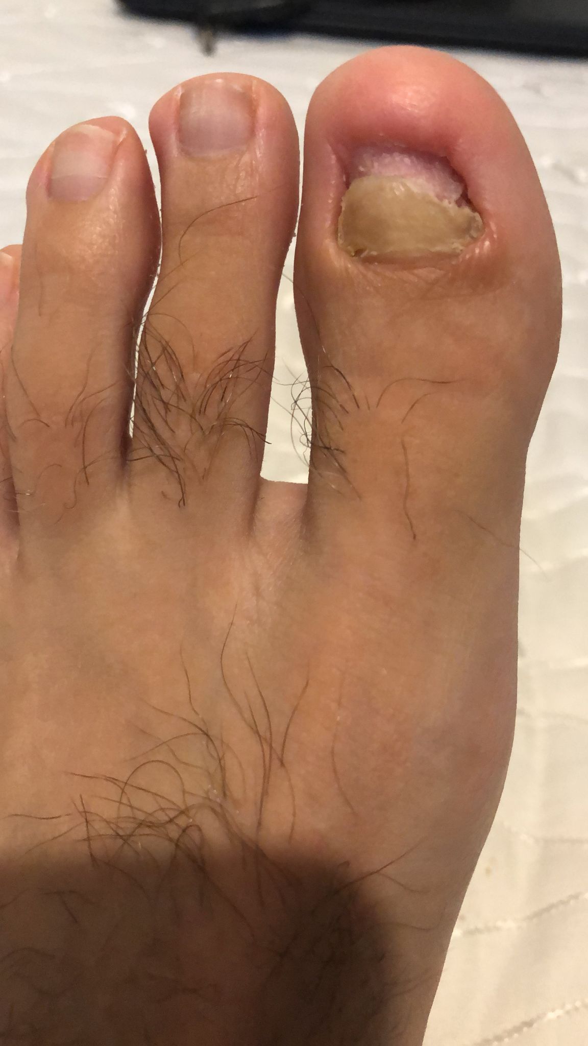 Kassandra Nicolosi-168