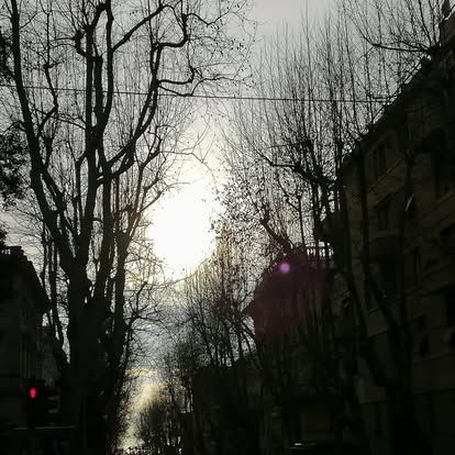 Lucia Vignolo-5