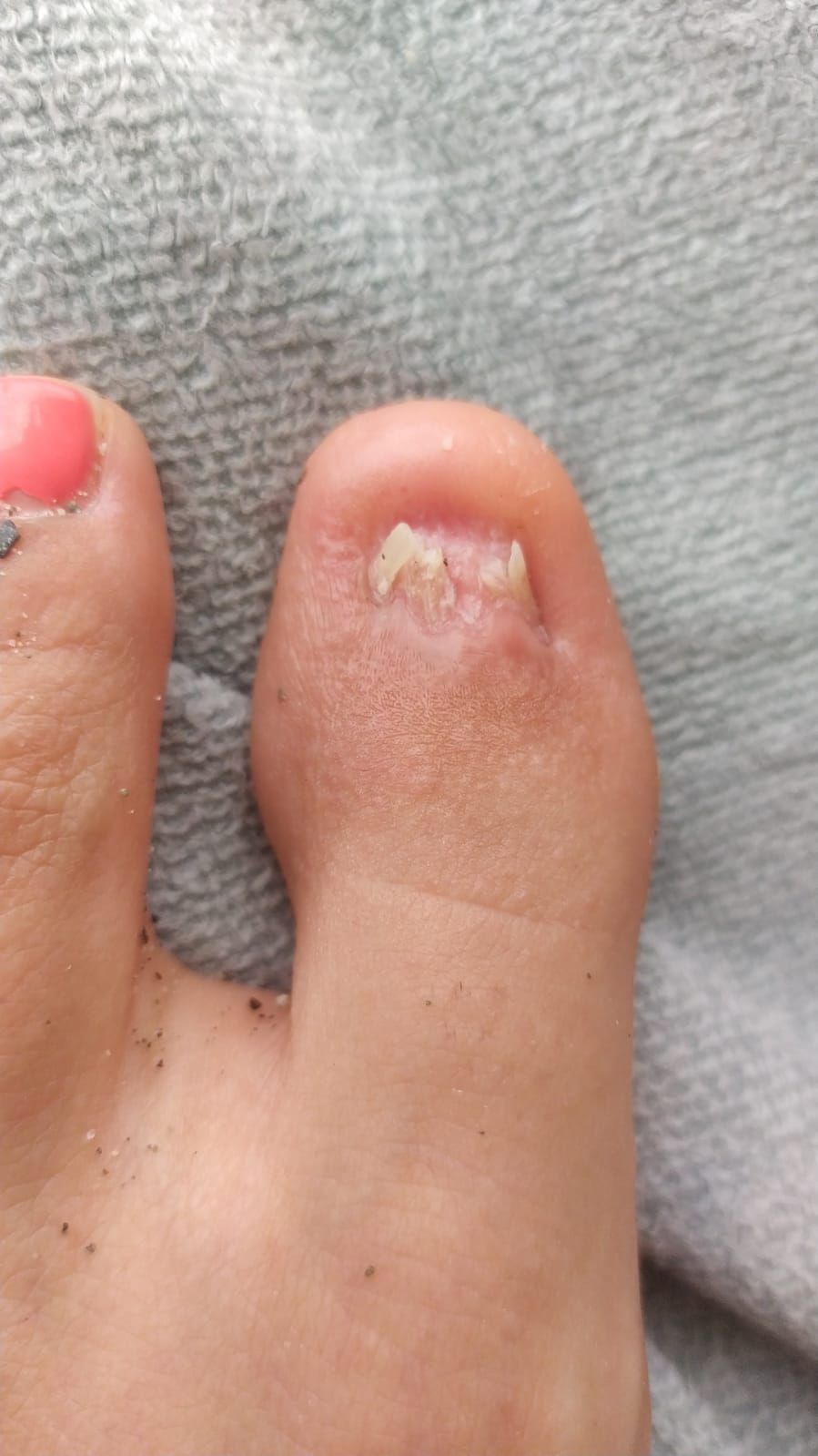 Kassandra Nicolosi-166