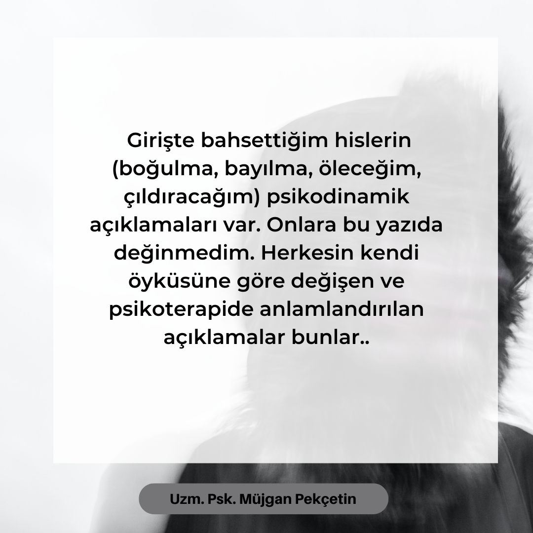 Müjgan Pekçetin-14