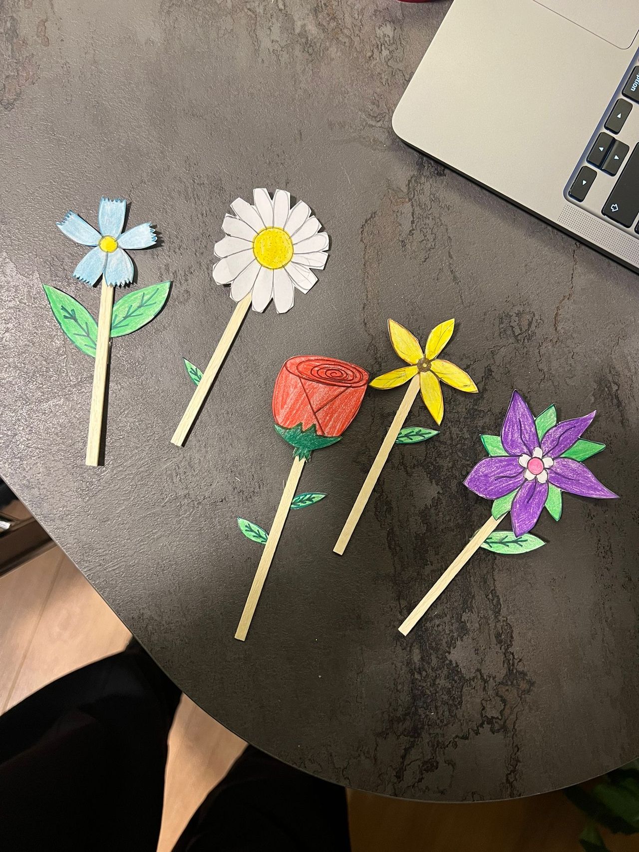 Gül Şirinoğlu Yayıcı-8