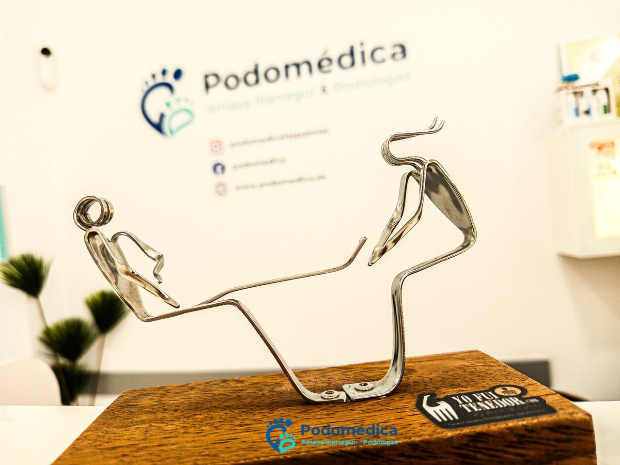 Amaya Illarregui García-13