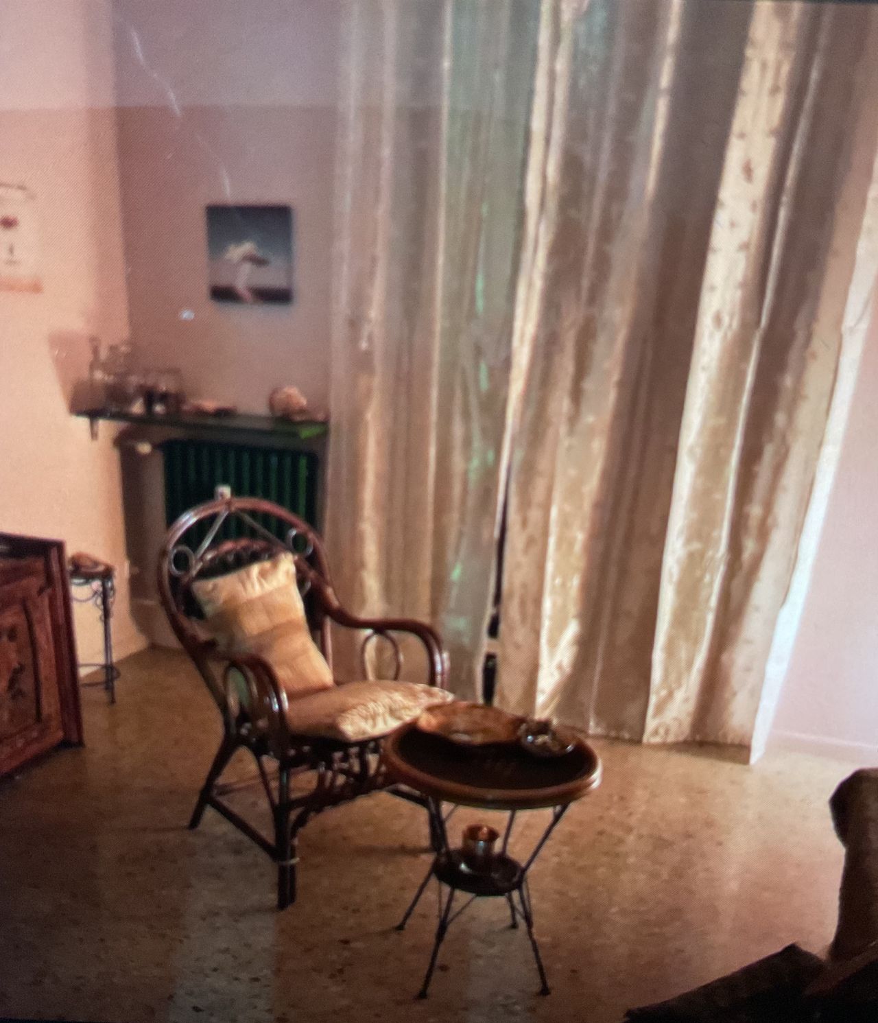 Ljuba Zamarin-16