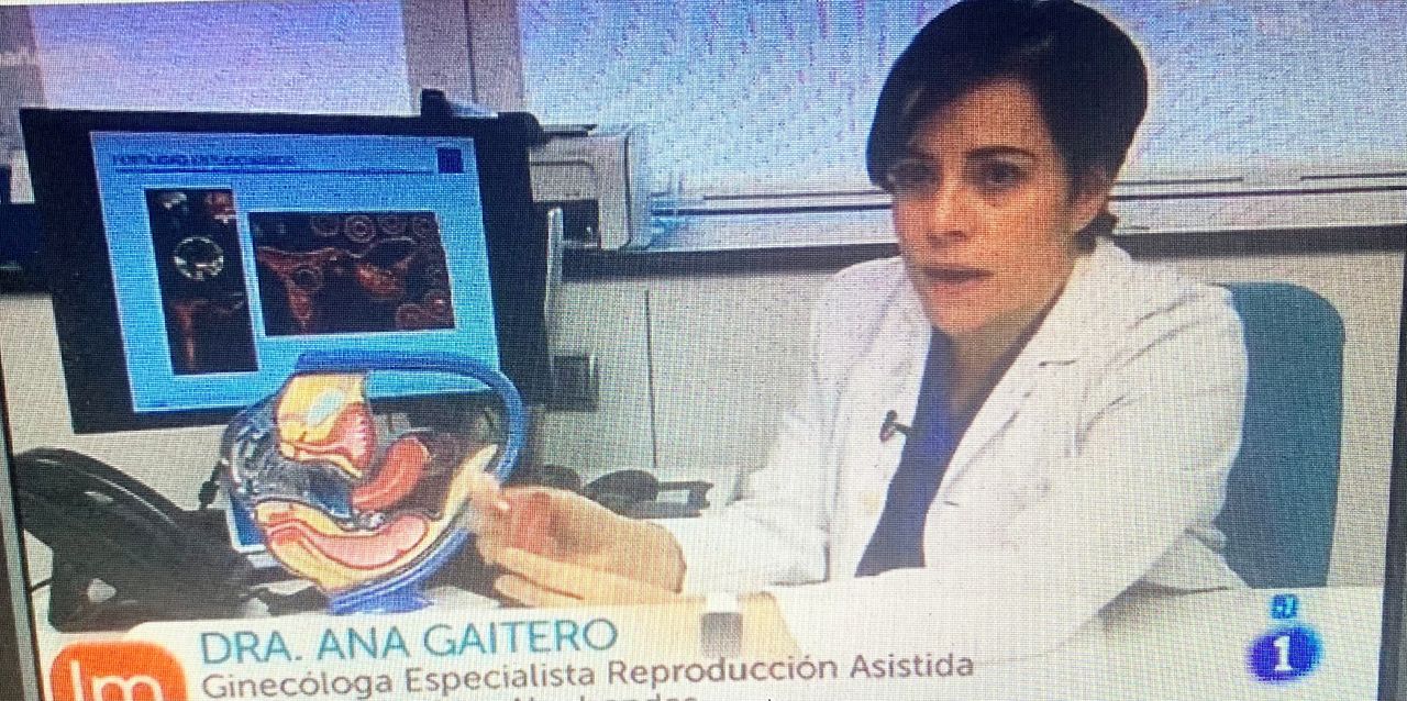 Ana Gaitero Martínez-9