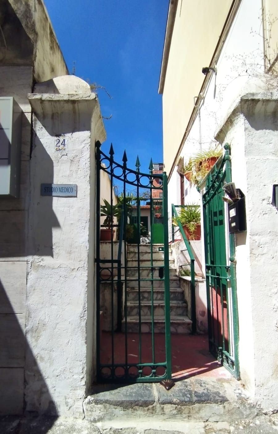 Adriana Di Francia-1