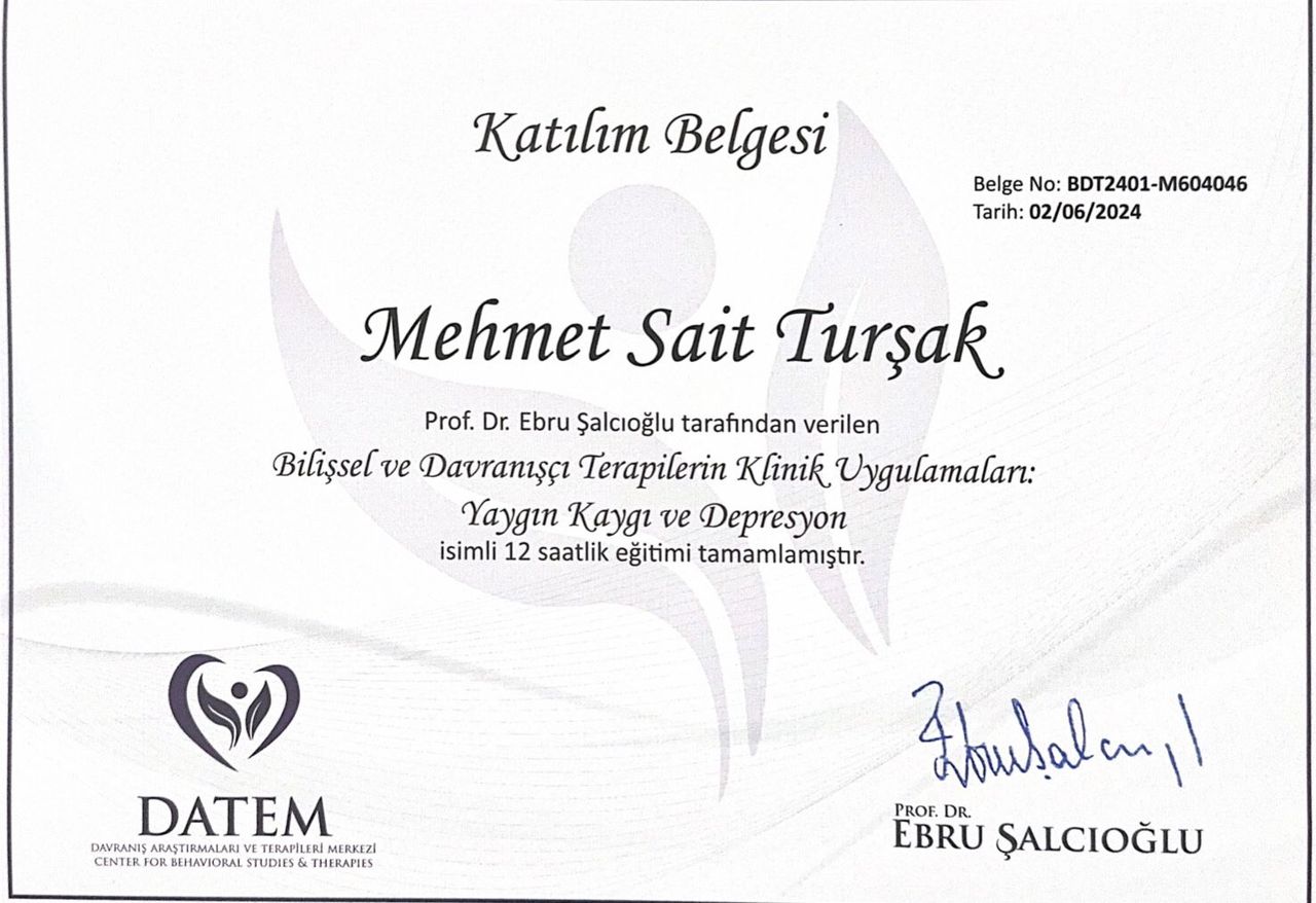 Mehmet Sait Turşak-2