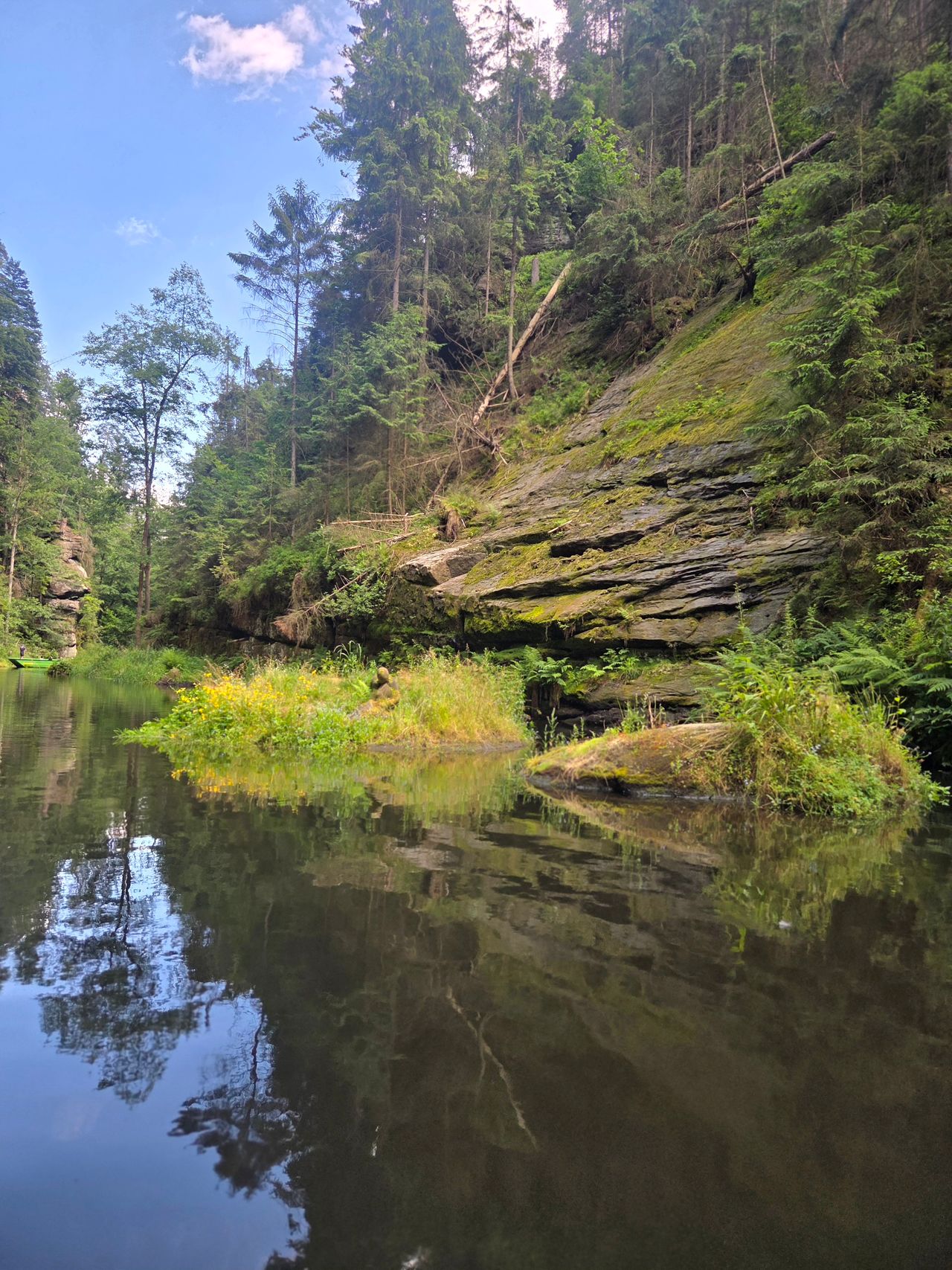 Anastazja Wroniewska-0