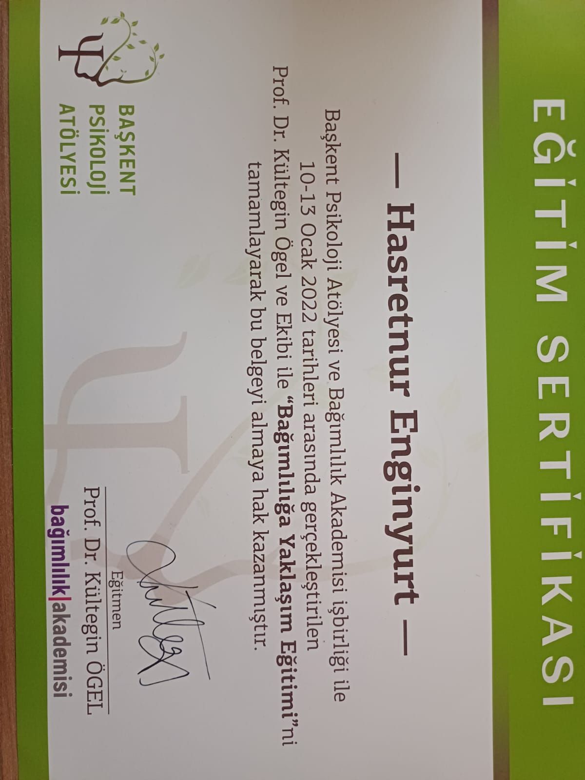 Hasretnur Enginyurt-10