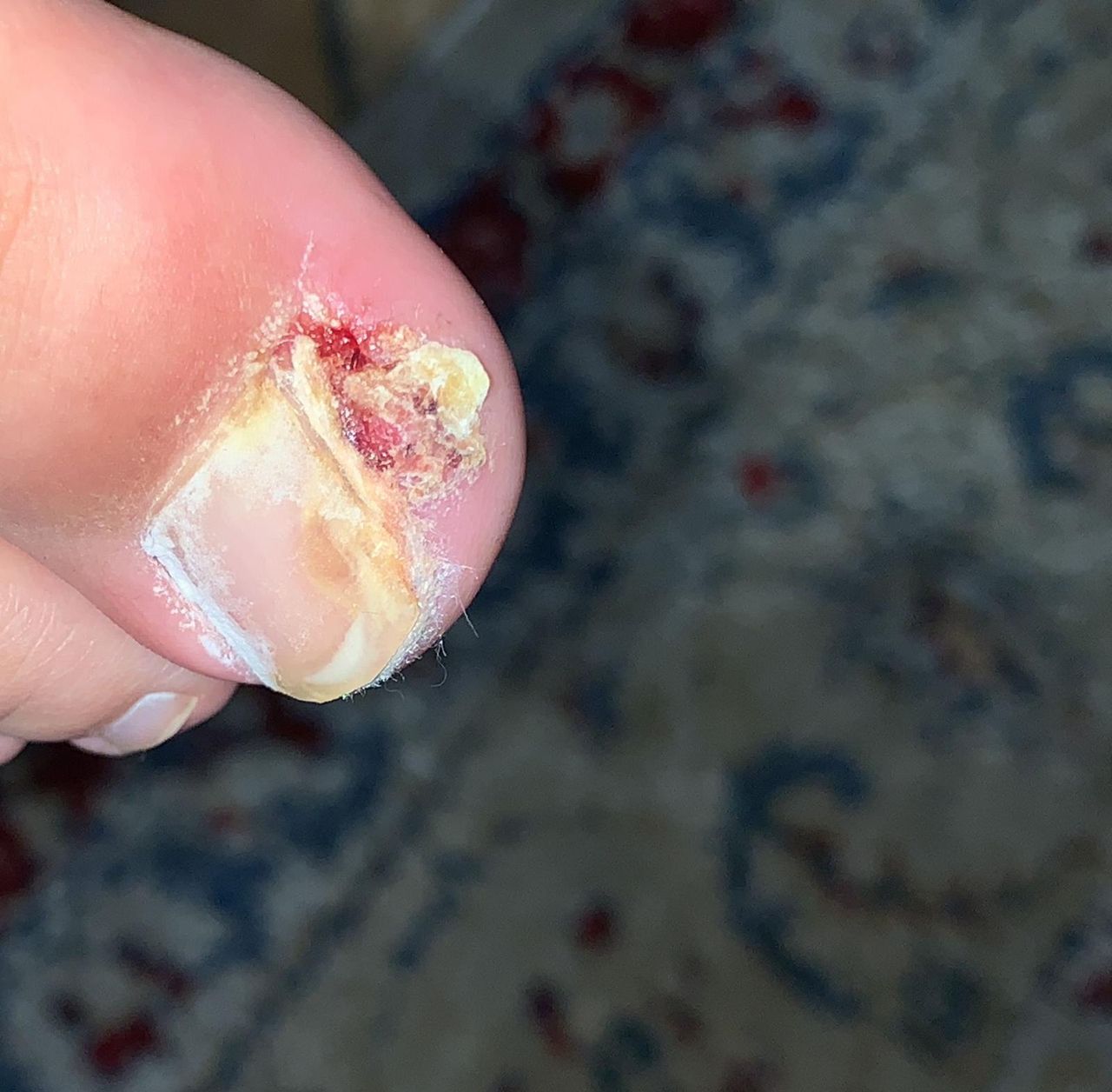 Kassandra Nicolosi-109