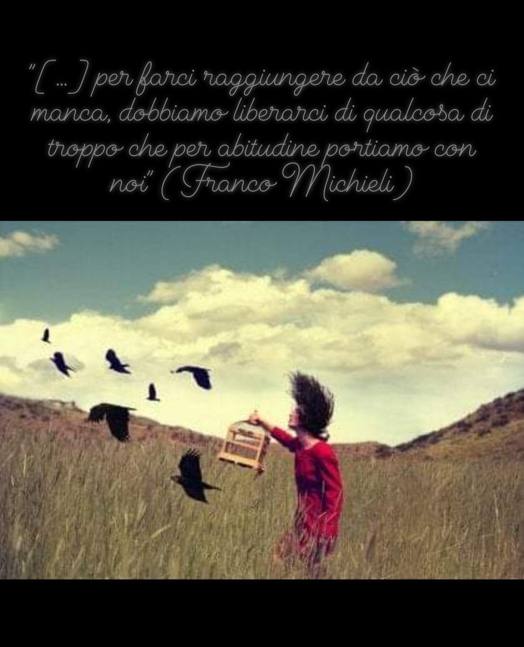 Jessica Toccafondo-5