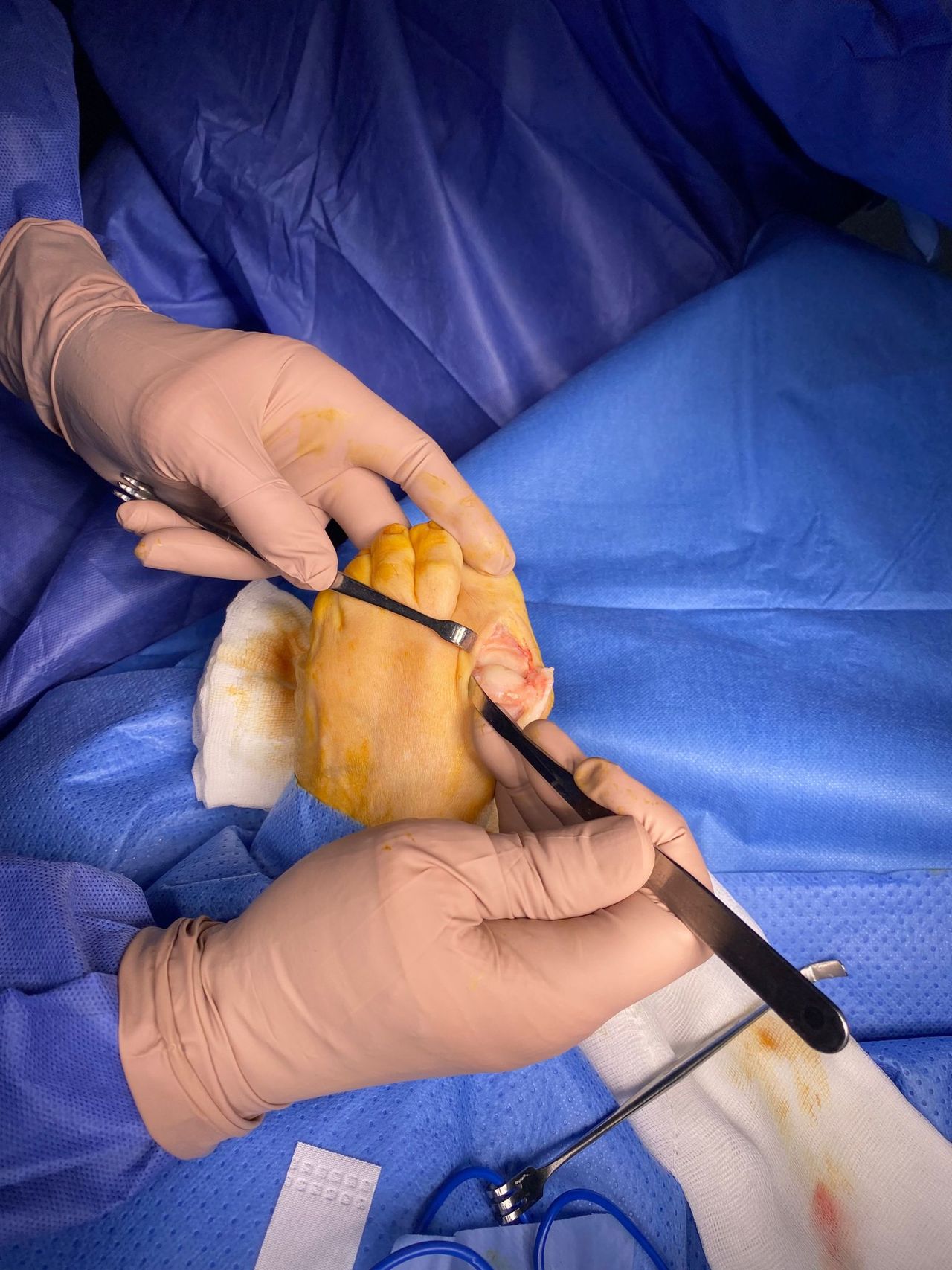 Luis Gandía Zapata-10