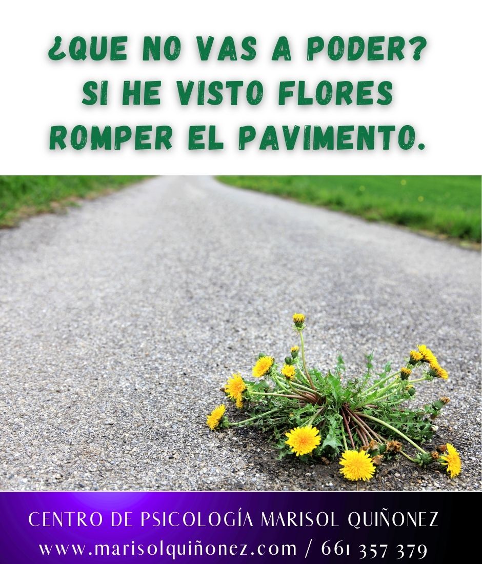 Marisol Quiñonez Quintero-79