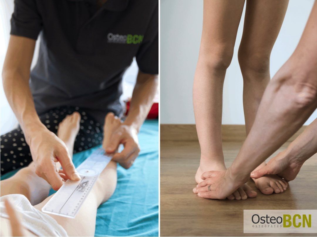 Raquel Alonso García-2